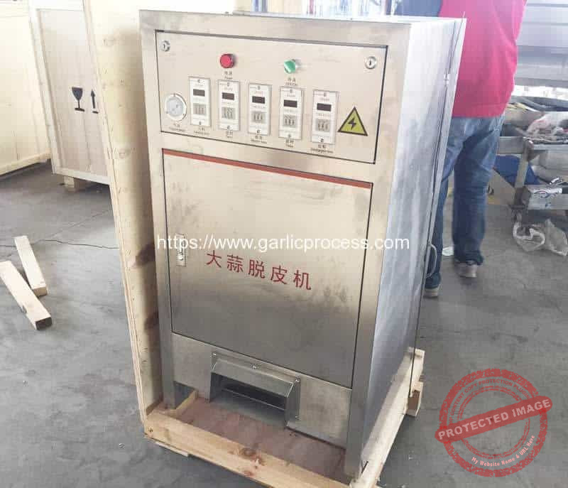 100KG-Per-Hour-Garlic-Peeling-Machine
